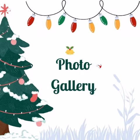 Christmas Tree with link to Photo Gallery